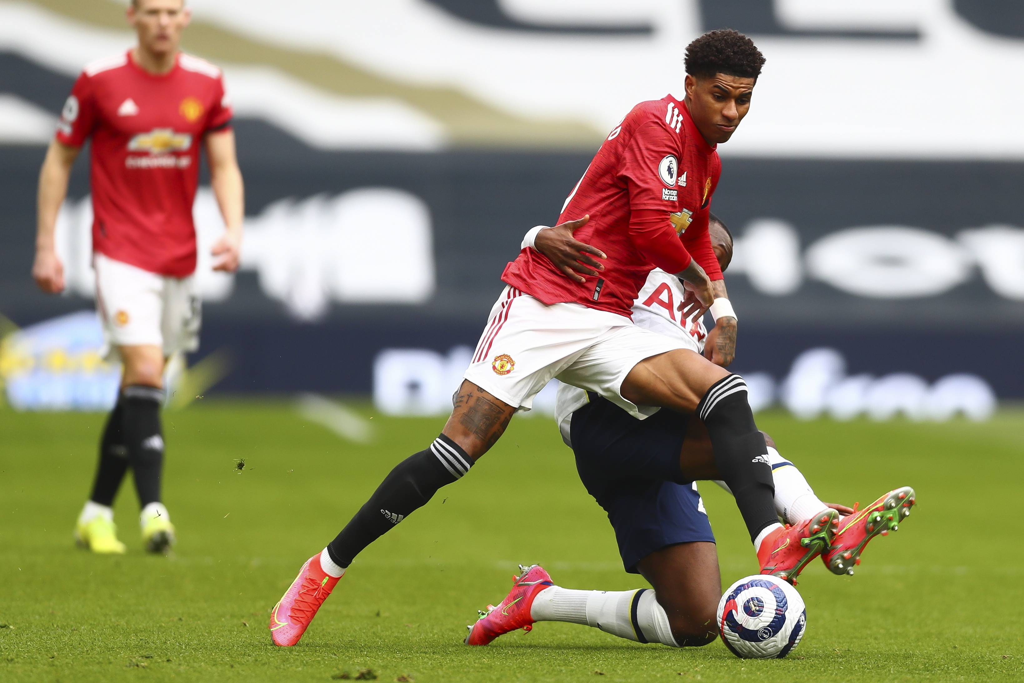 尼个人职业 尼个人职业